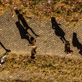 A group of people walking with shadow on the ground.